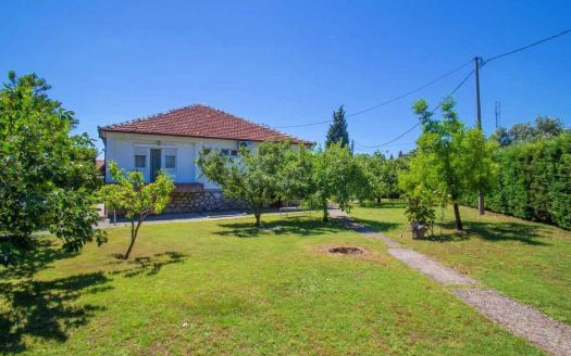 Spacious house with a large yard not far from the center – Podgorica , Ibricevina