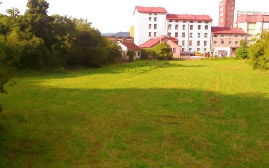 Property with a house and auxiliary building located in the first city zone – Niksic