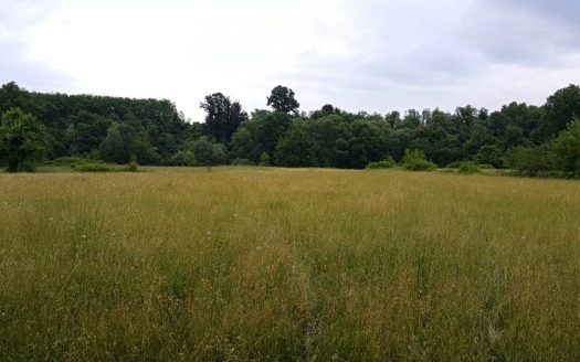 Property with exit to Zeta river – Danilovgrad, Pazici