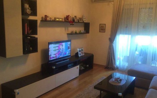 apartment one bedroom semi-furnished podgorica