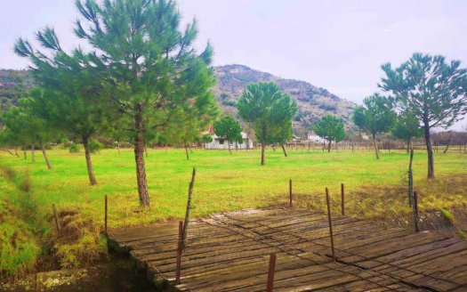 Podgorica, Tolosi – Urbanized land with possibility of parceling