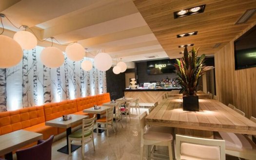 commercial space furnished center podgorica