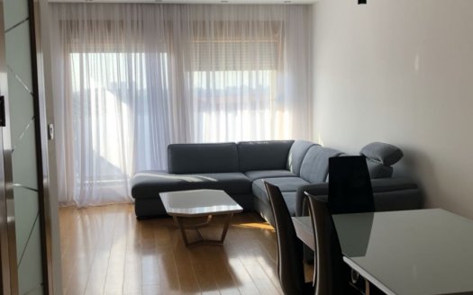 apartment three bedroom furnished podgorica