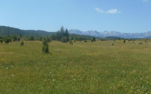 zemljiste nedaleko od centra zabljak