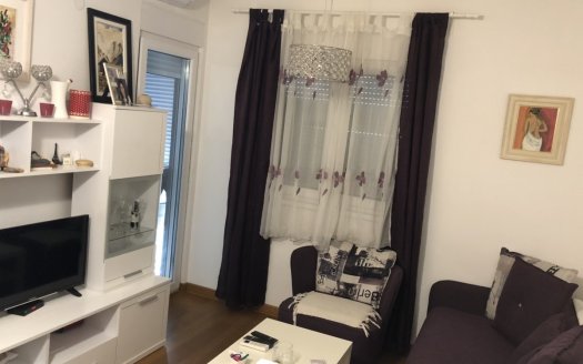 studio apartment fully furnished for rent podgorica
