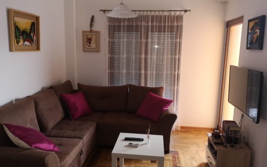 one bedroom apartment unfurnished terrace podgorica for sale