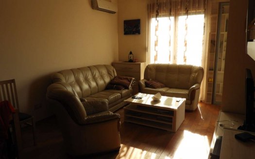 apartment one bedroom furnished podgorica for sale
