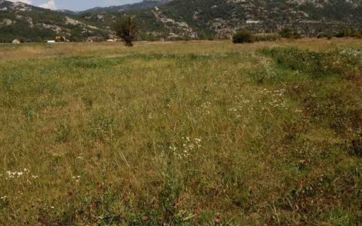 Niksic, Grahovo – Flat plot with for agriculture above sea