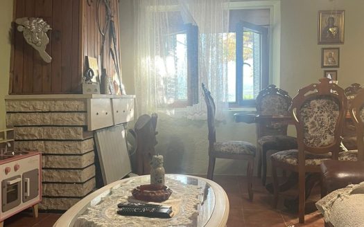 Danilovgrad, Brijestovo – Kuća sa placem na prodaju