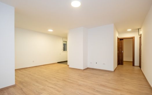 Podgorica, Blok 5 – Renovated one bedroom apartment for sale