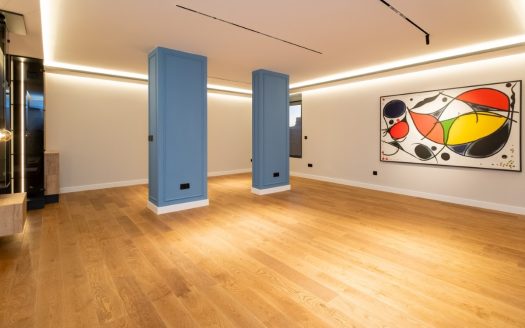 Podgorica, Preko Morače – Trosoban penthouse za izdavanje