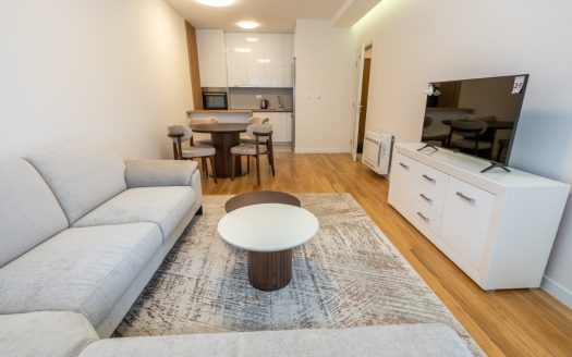 Podgorica, Central Point – Two bedroom apartment for rent