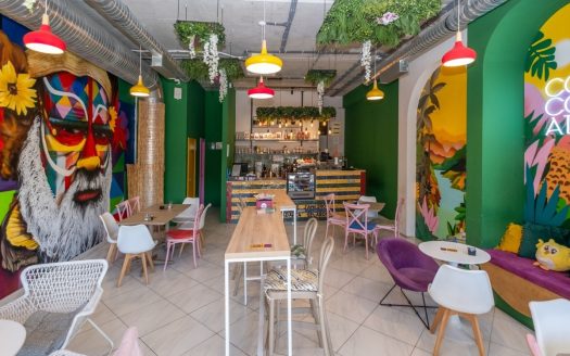 Podgorica, City Center – Commercial premises for rent