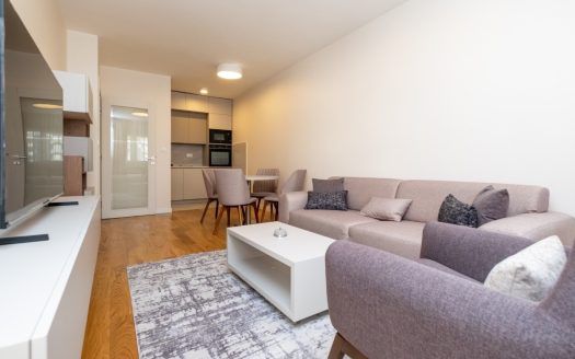 Podgorica, Central Point – Jednosoban stan za izdavanje