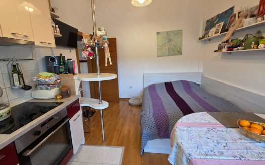 Podgorica, Nova Dalmatinska – One bedroom apartment for sale