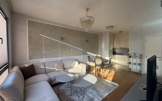 Podgorica, City Center – One bedroom apartment for rent