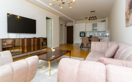 Podgorica, Preko Morače – Jednosoban stan za izdavanje