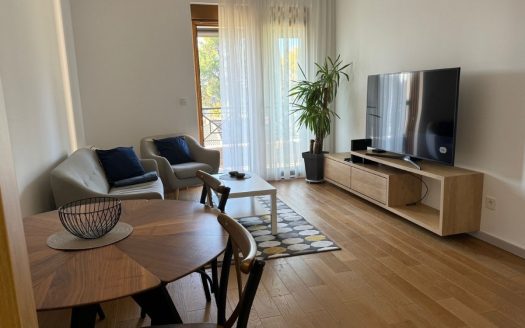 Podgorica, Centar – Jednosoban lux stan za prodaju